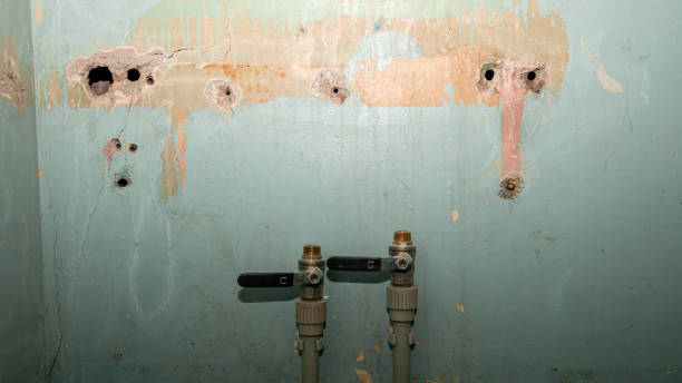 Best Commercial water damage restoration  in Rio Communities, NM