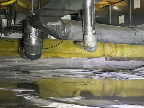 Best Mold removal after water damage  in Rio Communities, NM