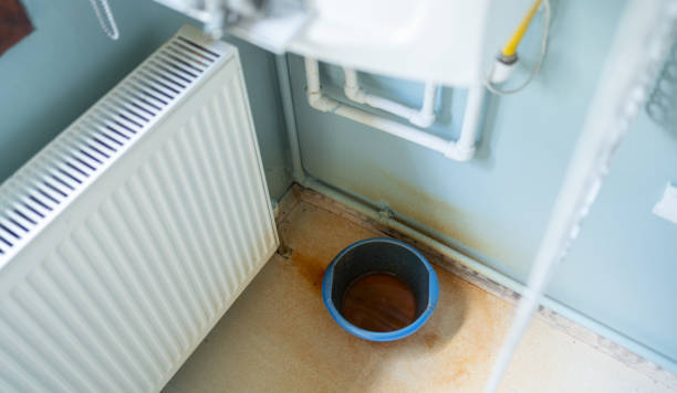 Best Carpet water damage restoration  in Rio Communities, NM