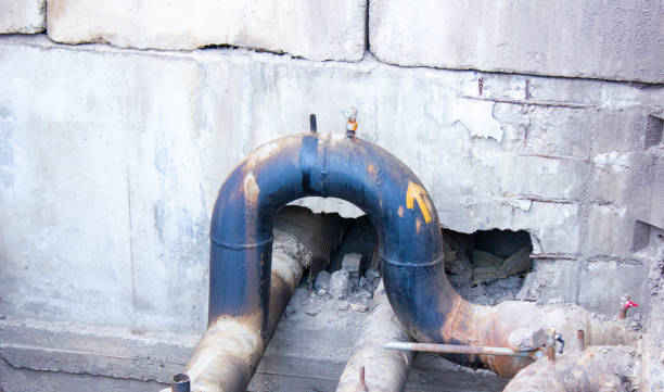 Best Professional water damage repair  in Rio Communities, NM