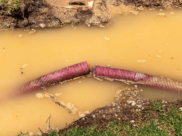 Best Flood damage cleanup  in Rio Communities, NM