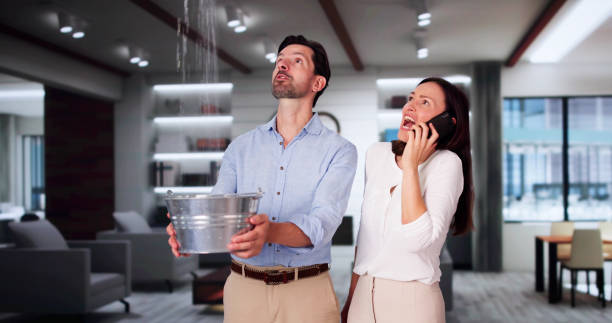 Best Basement water damage restoration  in Rio Communities, NM